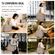 imageUrl_5