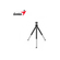 imageUrl_3