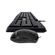 imageUrl_4