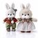 imageUrl_1