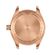 imageUrl_4
