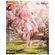 imageUrl_5