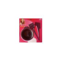 KIT SET JUEGO DE BROCHAS Y APLICADOR DE TINTE PARA CABELLO REUSABLE