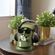 imageUrl_3