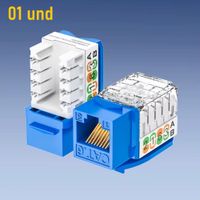 Jack Keystone RJ45 CAT6 Conector Modular de 90 grados - 01 Unidad
