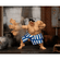 imageUrl_5