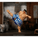 imageUrl_6