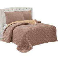 Cobertor Aterciopelado con Reverso Sherpa 2plz - 3 Piezas