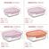 imageUrl_3