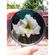imageUrl_6