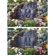 imageUrl_4