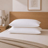 Pack de 02 Almohadas Clásicas King