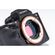 imageUrl_7