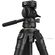 imageUrl_4