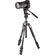 imageUrl_7