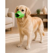 imageUrl_1