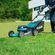 imageUrl_7
