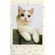 imageUrl_4