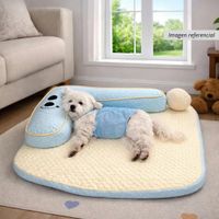 Cama L Tamaño Mediano Celeste y Amarillo