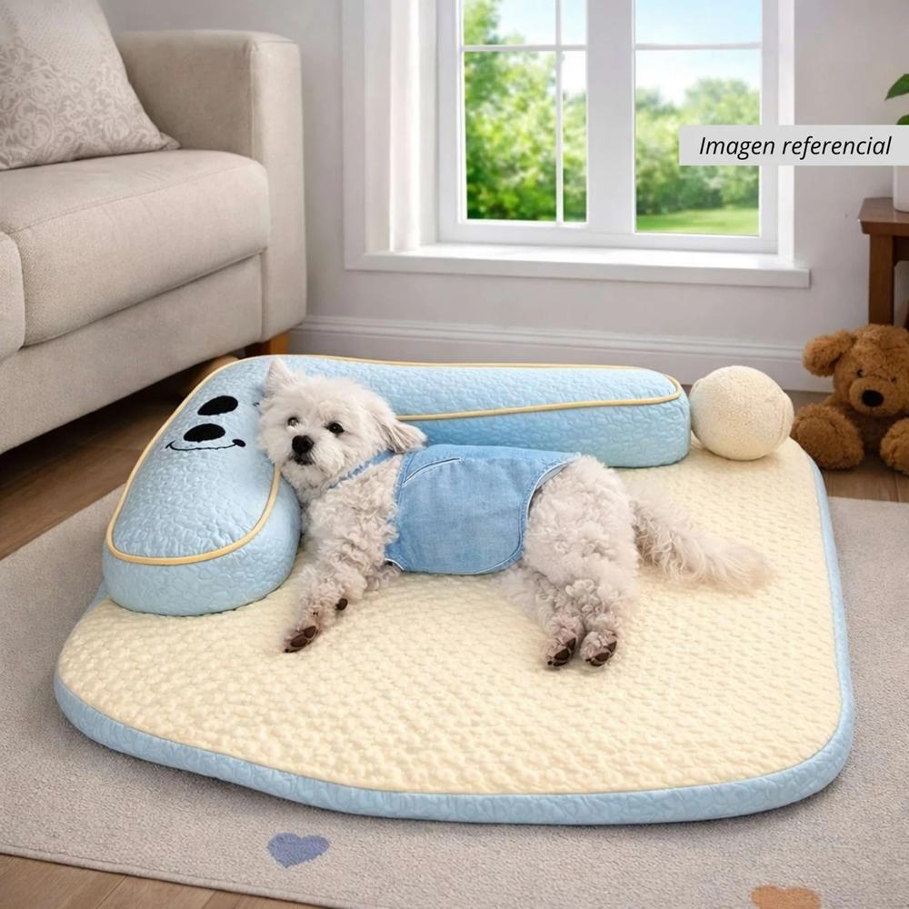 Cama L Tamaño Mediano Celeste y Amarillo