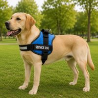 Pechera para Perros Service Dog Azul XL