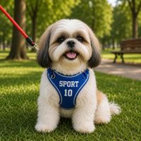 Arnés para Perros Azul Talla M