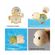 imageUrl_2