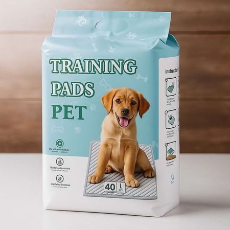 Training Pad - Pañal de Piso Talla L - 60 x 60 cm
