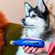 imageUrl_4