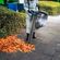 imageUrl_4