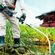imageUrl_7