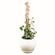 imageUrl_4