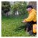 imageUrl_7