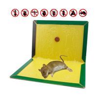 Trampa Pega Rata PACK 12 UNID.