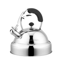 Tetera de Acero Montreal MN-4-14886 Plata