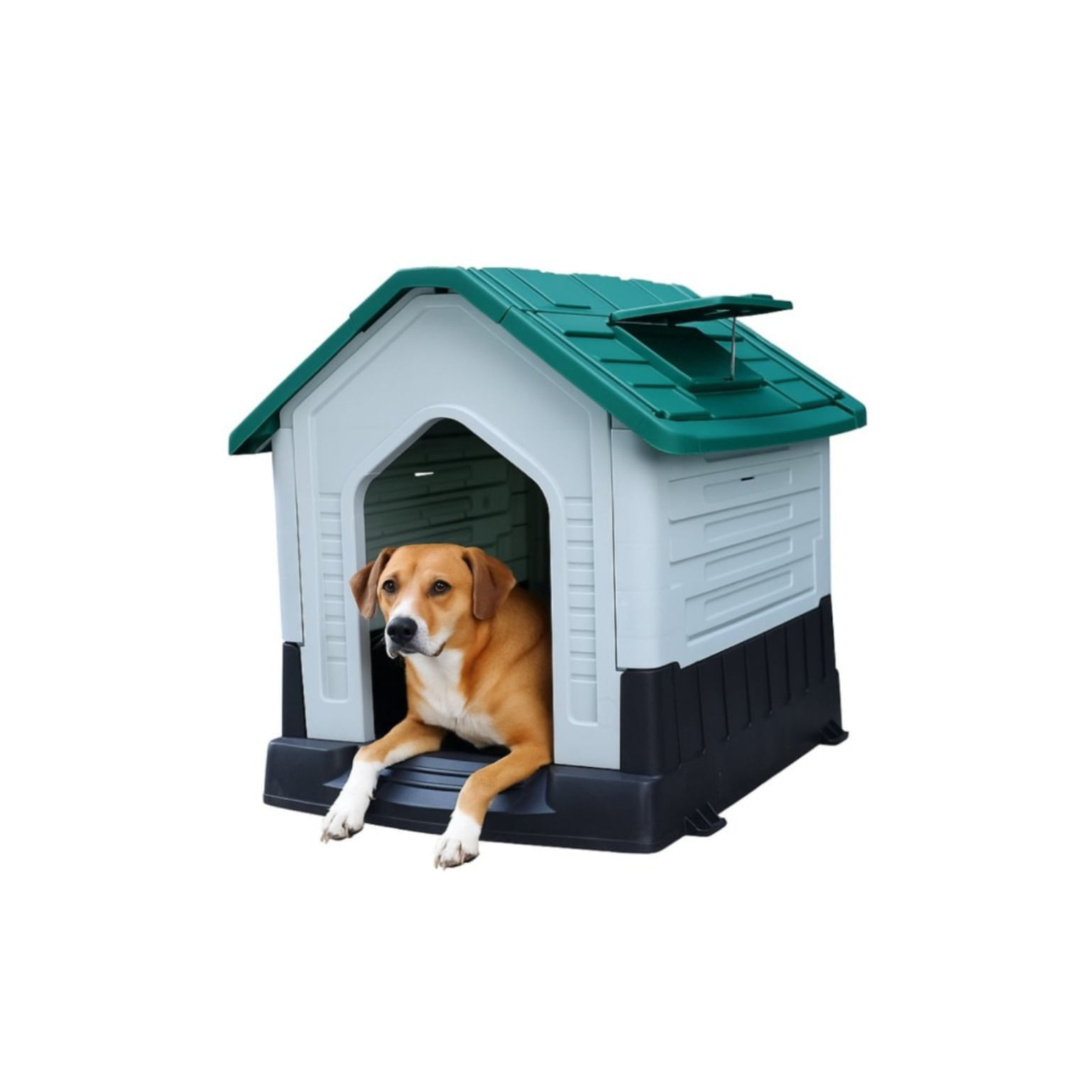 Casa Para Perro Cool Pets Mediana Verde
