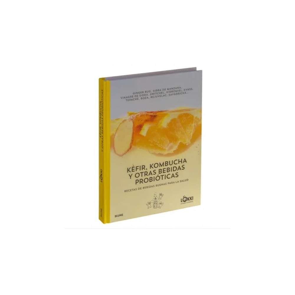 Kéfir kombucha y otras bebidas probióticas