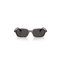 Ray-Ban Zuri Marrón con Luna Negra Talla 52