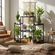 imageUrl_4