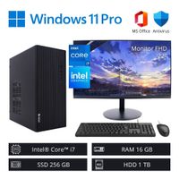 Computadora PC Intel ci7 3,90 GHz 16GB RAM 256GB SSD 1TB HDD + Monitor 22"" FHD