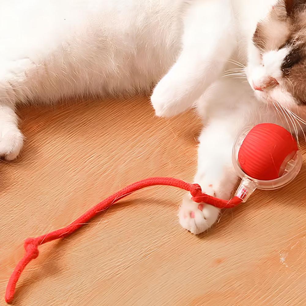Pelota Interactiva Automático Juguete Recargable para Mascotas