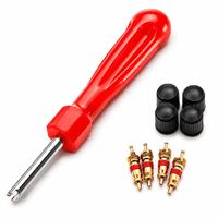 Kit Extractor Saca Válvula De Neumático  4 Núcleos Y Tapas