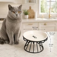 Fishy Dine- Plato Comedero de Ceramica para gatos
