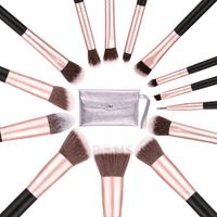 Kit De 14 Brochas De Maquillaje Semi-Profesional Con Estuche Portátil Para Rostro Y Ojos