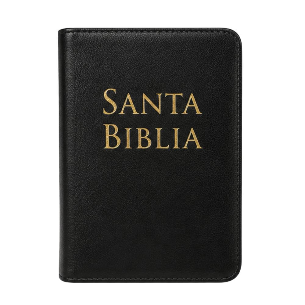 Biblia Rv1960 Letra Grande Tamaño Manual Referencias Color Negro