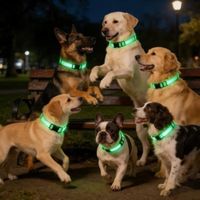 COLLAR LED RECARGABLE CON USB
