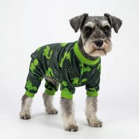 ENTERIZO MASCOTA PERRO GATO DISEÑO DINOSAURIO TELA PLUSH VERDE ROPA ABRIGADORA TALLA XXL