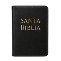 Biblia Rv1960 Letra Grande Tamaño Manual Referencias Color Negro