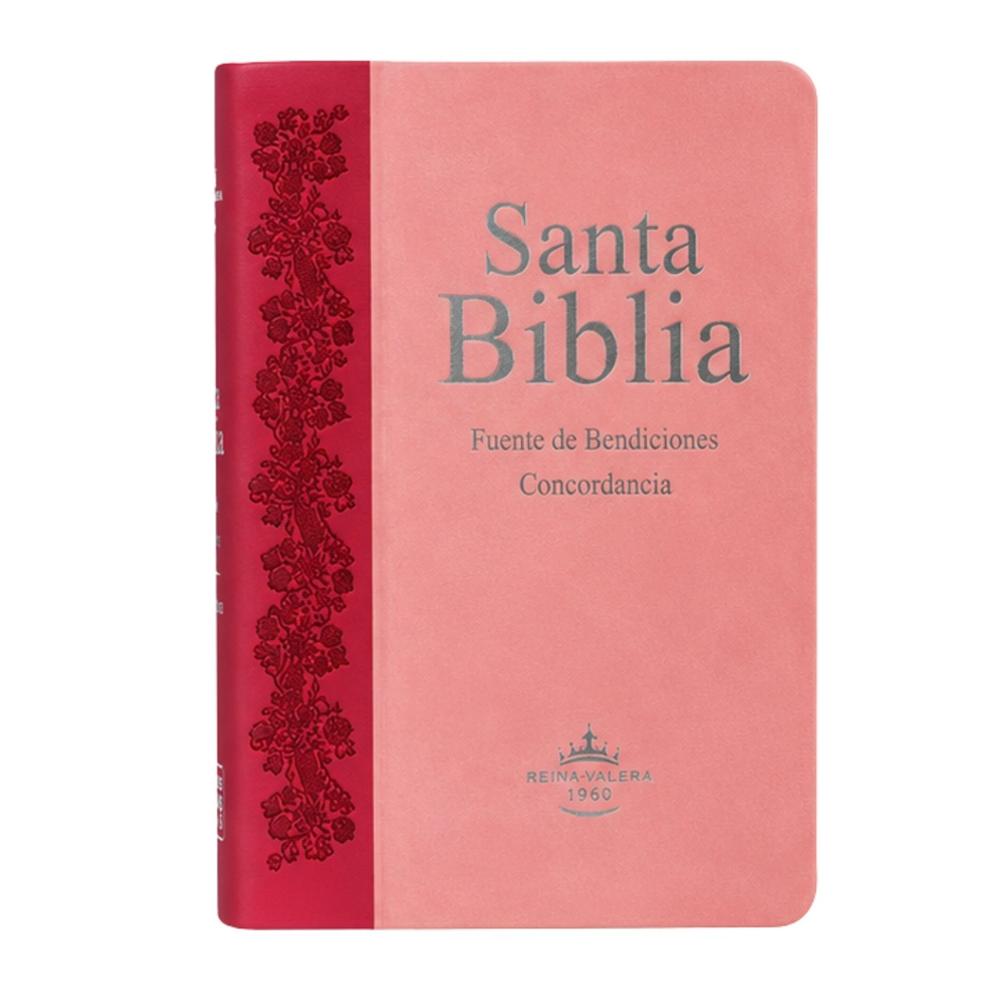 Biblia Reina Valera 1960, Fuente de Bendición de Promesas