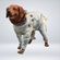 imageUrl_5